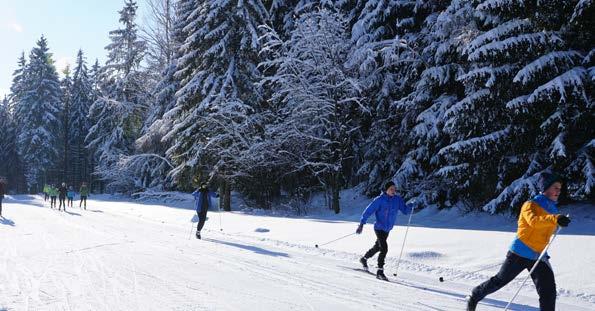 Wanderprogramm Samstag, 20.01.2018 Skiwanderung (W42) Auf schmalen Latten durch die Winterlandschaft 10:00 Uhr, Wagenthal Rückkehr: ca.