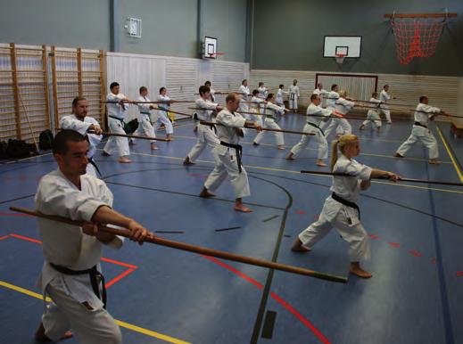 RYÛKYÛ KOBUDÔ - KOBUDÔ - Seminar in Jena Am Sonntag, dem 25.04.2010, folgte einem gut besuchten Karate-Lehrgang von hohem Niveau ein ebenbürtiger Kobudô-Lehrgang mit Frank Pelny Sensei (5.