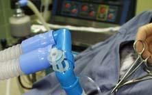 Intubation Zugang zu den Atemwegen ermöglicht sichere Atmung und Beatmung orotracheal, Pharyngotomie, Tracheotomie größ ößtmöglichen Tubus verwenden, um Atemwegswiderstand klein zu halten geeignete