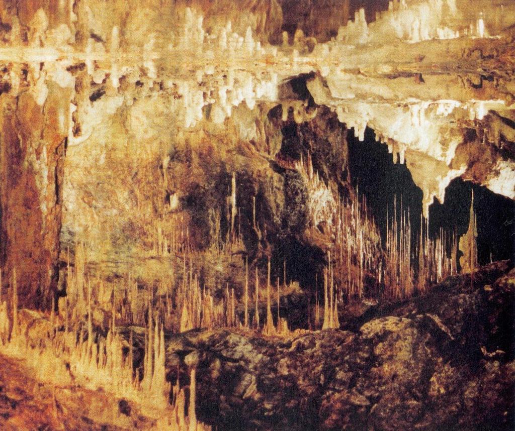 Tropfsteinhöhle In Tropfsteinhöhlen tropft an verschiedenen Stellen kalkhaltiges Wasser von der Decke.