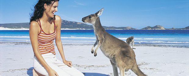 Australien: Traumzeit auf dem fünften Kontinent Melbourne, Sydney, Ayers Rock, Great Barrier Reef und Queensland Begegnung mit Känguru, : Richard Powers, Tourism Australia Die "Traumzeit" ist ein