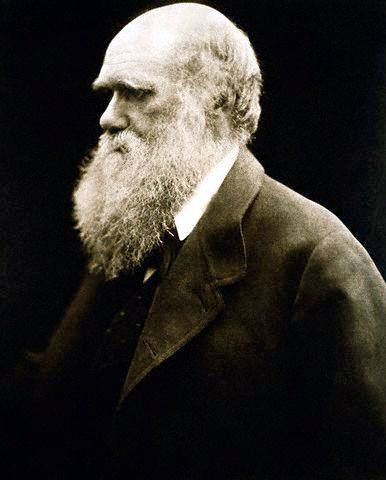 Charles DARWIN 5 Darwins Schlussfolgerungen 1. Beobachtung Potentiell exponentielles Wachstum der Population aufgrund übermässiger Fertilität 2.