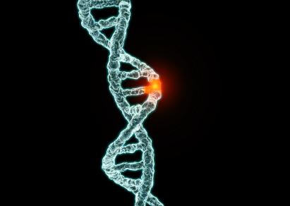 genetische Faktoren Mutation erschafft zufällig