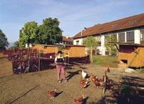 Forschungsbereiche FiBL Schweiz 61 Geflügelproduktion Ökologische Rindviehzucht Probleme und offene Fragen in der biologischen Eier- und Geflügelproduktion betreffen Haltung, Fütterung, Hygiene,