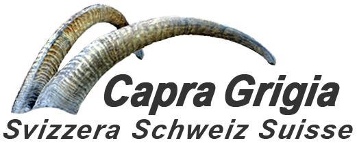 Zuchtbuchvorschriften des Vereins Capra Grigia Svizzera Fassung vom 7.12.2014 Für eine gute Lesbarkeit verwenden wir im folgenden Dokument nur die männliche Form.