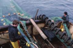 Systematisch bis zum letzten Fisch Je ausgefeilter die Fischereimethoden, je engmaschiger die Netze, je schwerer die Geräte, die über den Boden gezogen werden, um die Fische aufzuscheuchen, desto