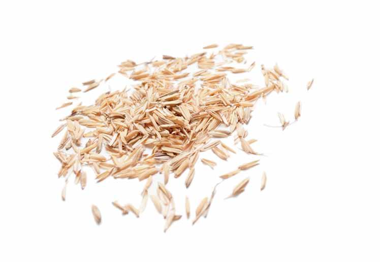 100% Natur: Reishülsen Plenera Terrassendielen sind aus dem ökologischen, holzfreien Material Resysta hergestellt