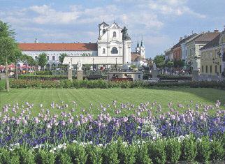 Donaueschingen von A bis Z Umgebung Botanischer Garten: Er umfasst ein Arboretum, ein Alpinum (Steingarten) und ein Torfmoor.