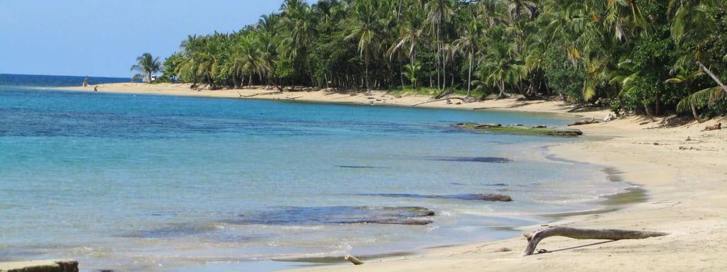 Bocas del Toro ist eine Ansammlung zahlreicher idyllischer Inseln, umspült vom klaren, fischreichen karibischen Meer.