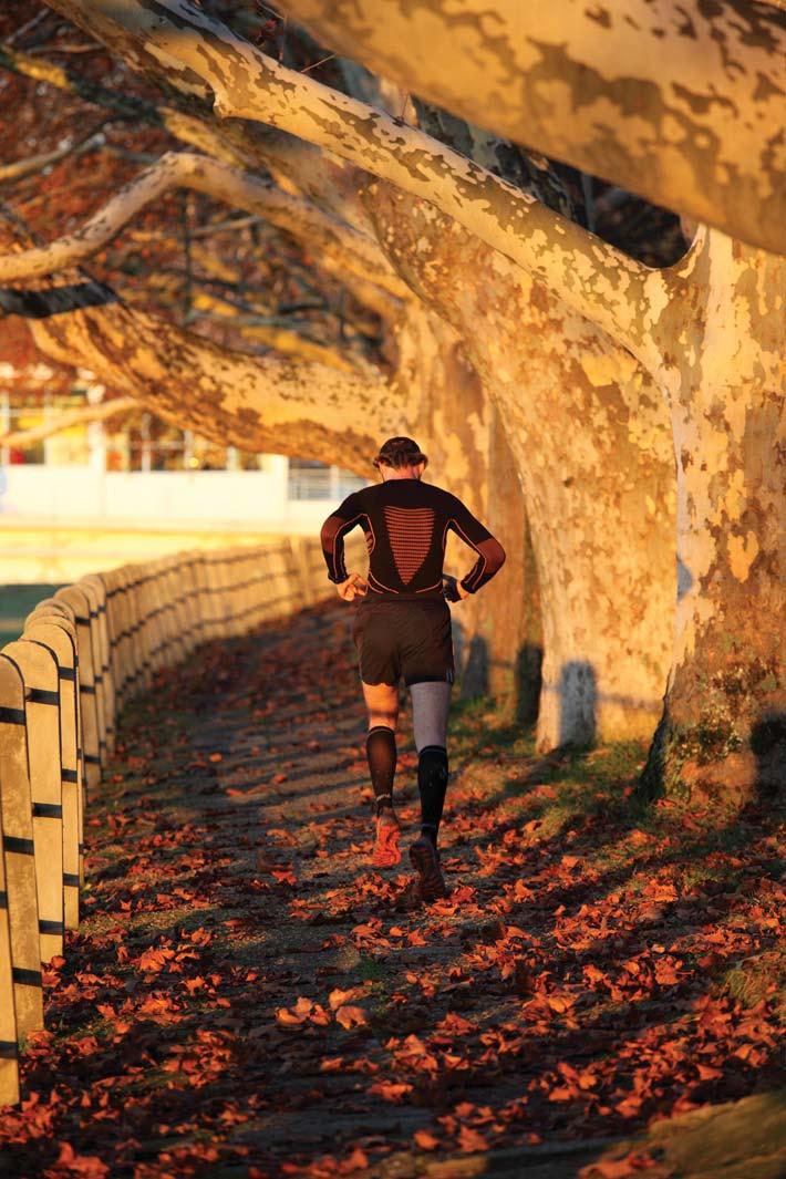 Foto Roman Tibenský fond of leading discussions in the shade of these trees. Planting along the embankment was carried out immediately after the completion of the County Bridge.