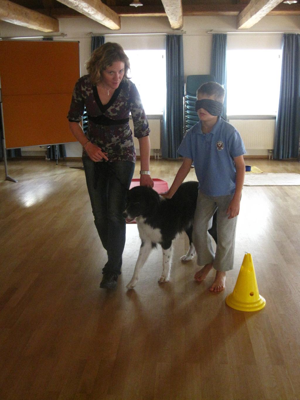 6 Angebote Tiergestützte Pädagogik Präventionsprojekte Pädagogische Maßnahmen unterstützt durch den Einsatz von Tieren Lernförderung Tiergestützte Therapie Integration der Tiergestützten