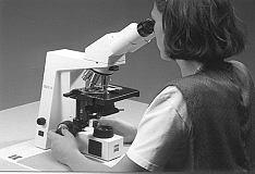 So köhlern Sie Ihr Mikroskop Kondensor durch den Kondensortrieb in eine Position direkt unter dem Objekttisch bringen -