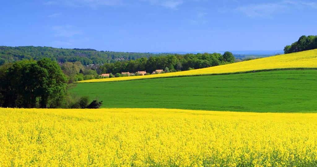 traditionellen Bauweise als die Klassiker im Landhausprogramm.