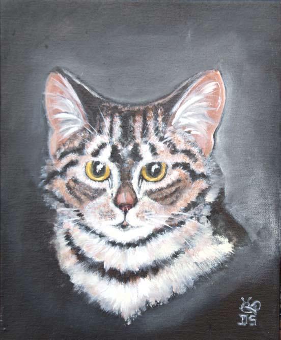 Katzenportrait, Acryl