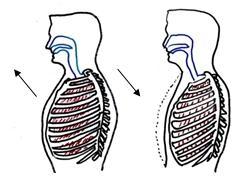 Man nennt diese Form der Atmung Bauch- oder Zwerchfellatmung. 1. Lege die Hände leicht auf den Bauch und atme in Ruhe ein und aus. Versuche dabei "in die Hände" zu atmen! Beschreibe deine Beobachtung.