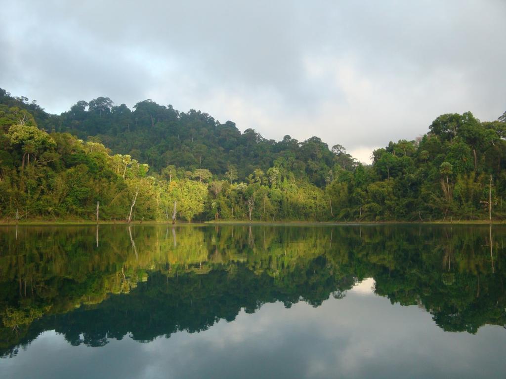 PHBERN Naturraum des Tropischen Regenwaldes Skript für Lernende