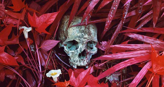 Of Lillies and Remains, North Kivu, Eastern Congo, 2012. THE ENCLAVE Text: Susanna Niedermayr, Richard Mosse Madonna and Child, North Kivu, Eastern Congo, 2012.