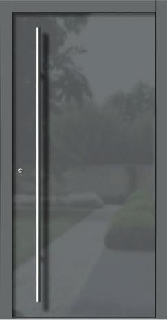 Farbe Rahmen außen: RAL7021 Türblatt außen: Glas Parsol grau mit Email schwarz, Streifen grau Griff: D80 Seitenteil: ST03 Glas Seitenteil: Parsol grau mit
