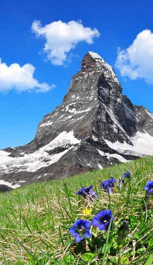 EZ-Zuschlag 45,- Chamonix - Mont Blanc Eine besondes schöne Fahrt in die schweizerische und französische Hochgebirgswelt.
