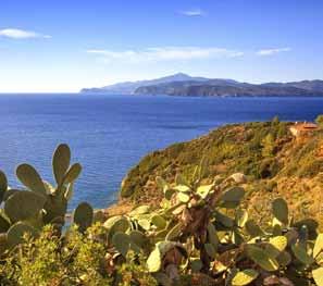 Überfahrt nach Elba. Die Insel gilt als Juwel des Mittelmeeres. Meterhohe Felswände stürzen senkrecht und unmittelbar ins Meer, dazwischen liegen versteckt wunderbare weiße Sandstrände.