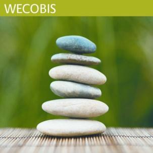 Fortschreibung Tool B Anpassung WECOBIS ab Juli 2012 Ref. II 5 Ref.