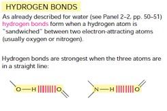 Wasserstoffbrückenbindungen