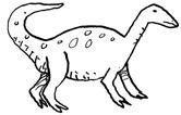 Dinosaurier vergleichen Wandle die Längen der Dinosaurier jeweils in Meter (m) oder Zentimeter (cm) um. Trage deine Ergebnisse in die Tabelle ein.