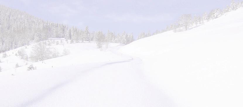 Besuchen Sie uns zu unserer Skishow am 27. Januar 2018 Infos unter: www.schneeskulpturen-schwarzwald.de 2. Schwarzwälder Schneeskulpturen-Festival vom 25. - 28.