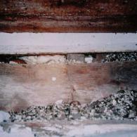 INFORMATIONS MODUL 7 Isoliermaterial aus Asbest Körner mit für Dämmung verwendetem Asbest Beschädigte