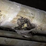 Kontrollen durchführen Begehung von Räumen Tätigkeiten mit erhöhtem Risiko Asbestkabine anbringen