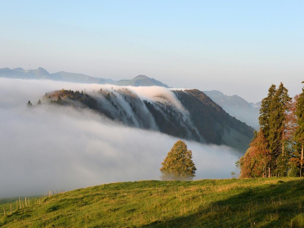 Wetter: Physikalische 3D-Zustand der Atmosphäre an einem