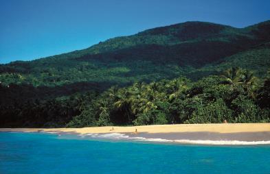 Im grünen Traumland oberhalb des blauen karibischen Meers findet man tropische Regenund Bergwälder. Im 30.