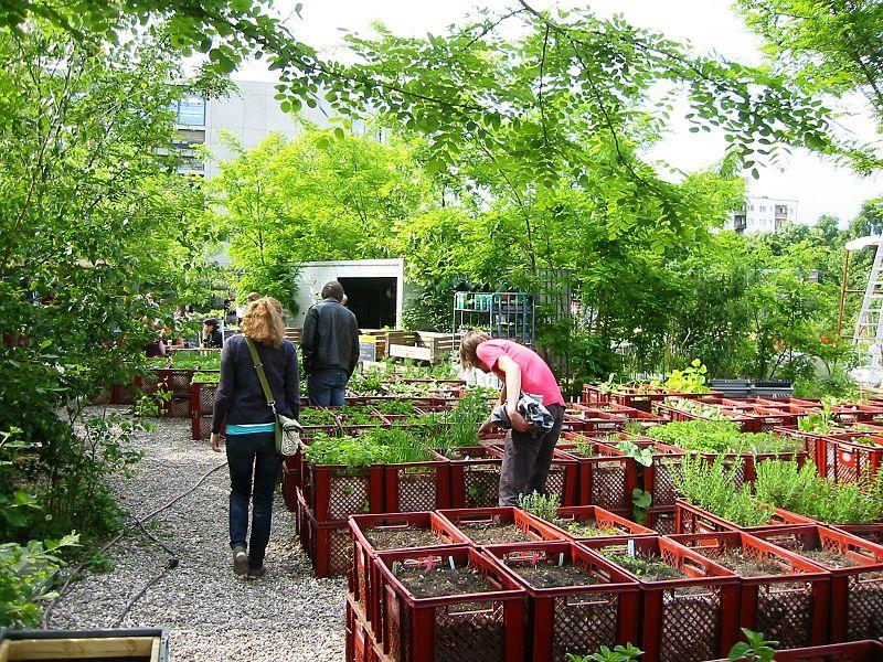 9 Permakultur Projekte Essbare Städte Berliner Prinzessinnengärten - Mobiler Garten