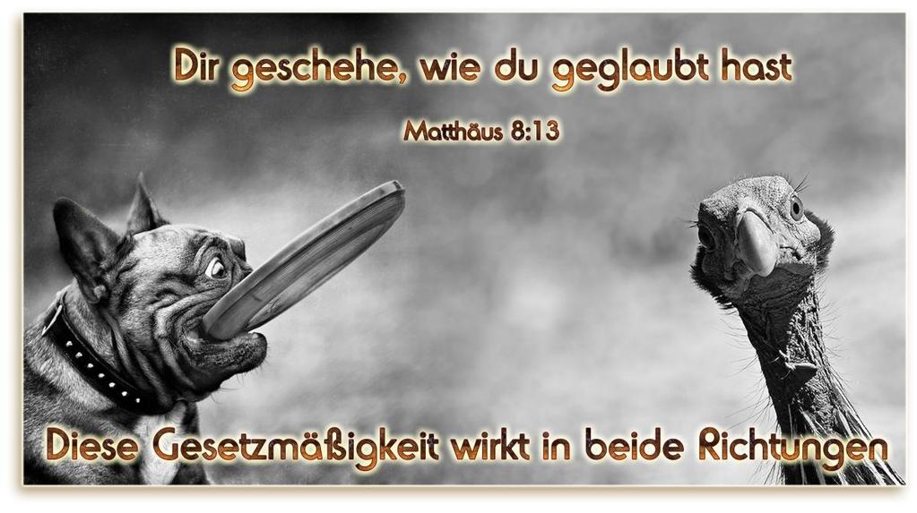 Übersetzungsschwächen in deutschen Bibeln 329 Ein spannender Zusammenhang bei unserem Sprechen besteht darin, dass auch eine Vollmacht verbunden ist, sowohl zum Guten wie auch zum Negativen.