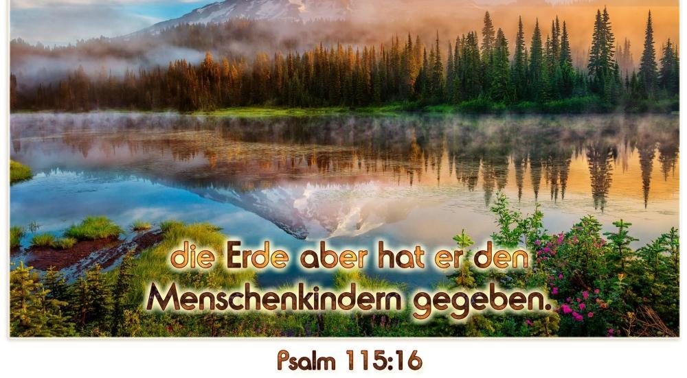 Ich versuche es in wenigen Worten: Gottes Herrschaftsbereich ist der Himmel und auf der Erde hat Gott den Menschen als Verwalter und Autorität eingesetzt, Psalm 115:16.