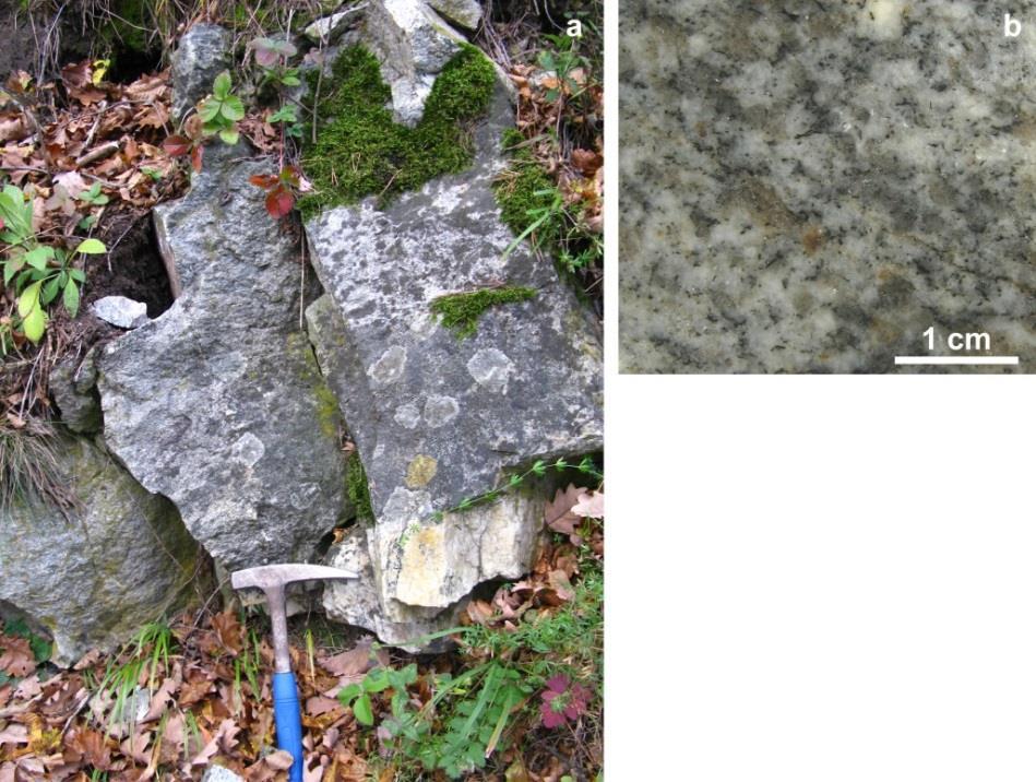 200 m ist immer wieder anstehendes Gestein zu finden, der größte Aufschluss ist in Abb. 9 abgebildet.