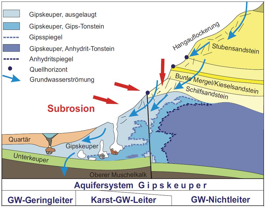2.2.2 Gipsauslaugung und Tektonik Eine wichtige Rolle für die Aquifergenese und die horizontale Strukturierung im Modellraum spielen die Gipsauslaugung sowie tektonische Strukturen. In Abb.