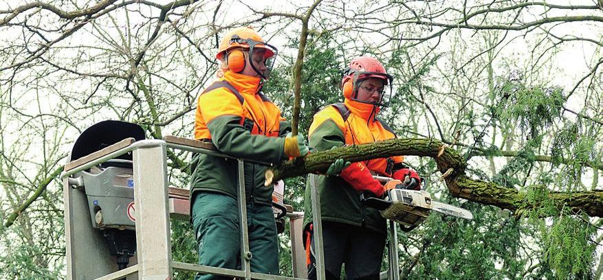 Einleitung Sicherheit hat immer oberste Priorität! Baumarbeiten Baumarbeiten gehören zu den gefährlichsten Arbeiten im Zuständigkeitsbereich der SVLFG.