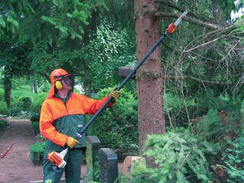 Leitern Statt Leitern möglichst Alternativen einsetzen Leitern Für Arbeiten geringeren Umfangs werden in der Baumpflege Leitern verschiedenster Bauart eingesetzt.