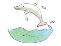 Ein Delfin springt in die Wellen. Ein Delfin springt aus den Wellen.