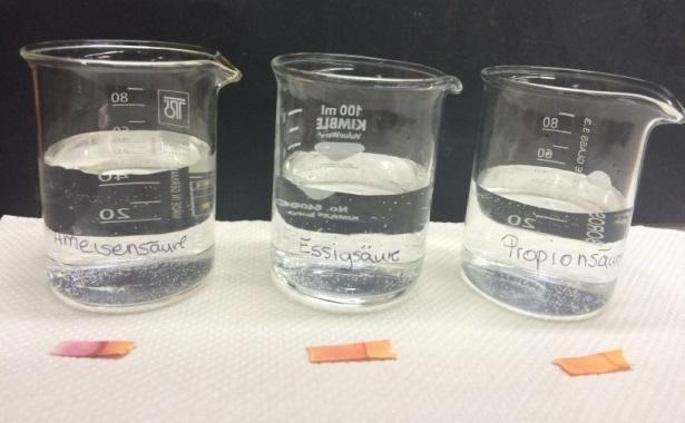 3. Lehrerversuch Die Säurestärke von Carbonsäuren Abbildung 3: Bechergläser mit 1M Ameisensäure (links), Essigsäure (mitte), Propionsäure (rechts) und Indikatorpapier.