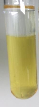 4. Schülerversuch Alkalische Esterhydrolyse Reagenzglas 3: 1 ml Essigsäureethylester + 2 ml