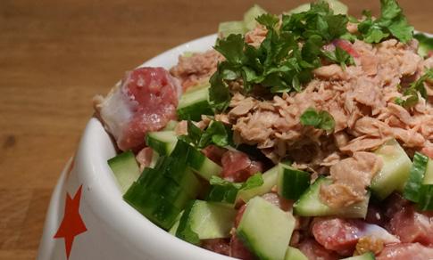 Hähnchen mit Thunfisch und Gurke Zutaten: 450 g Geflügelfleisch (Barfmix) 1/4 Salatgurke, geschnitten oder püriert 1/2 Dose Thunfisch (im eigenen Saft) 3-4 tl Leinöl