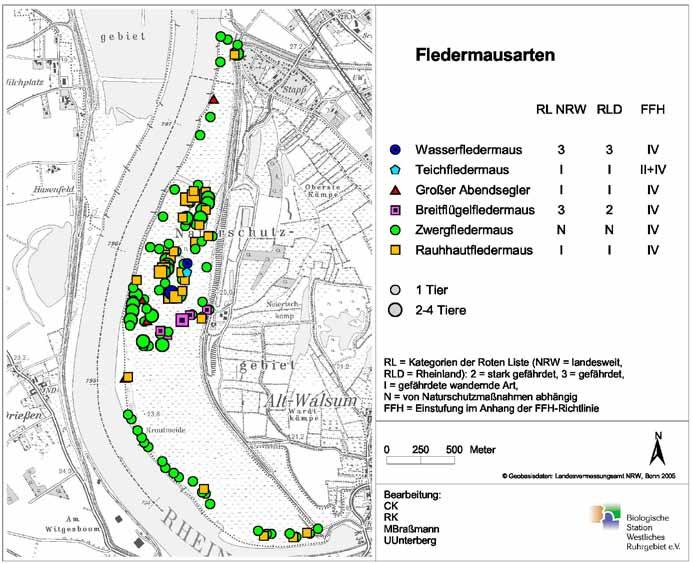Abbildung 18: Nachweise von Fledermäusen im Deichvorland des FFH-Gebietes Rheinaue Walsum.