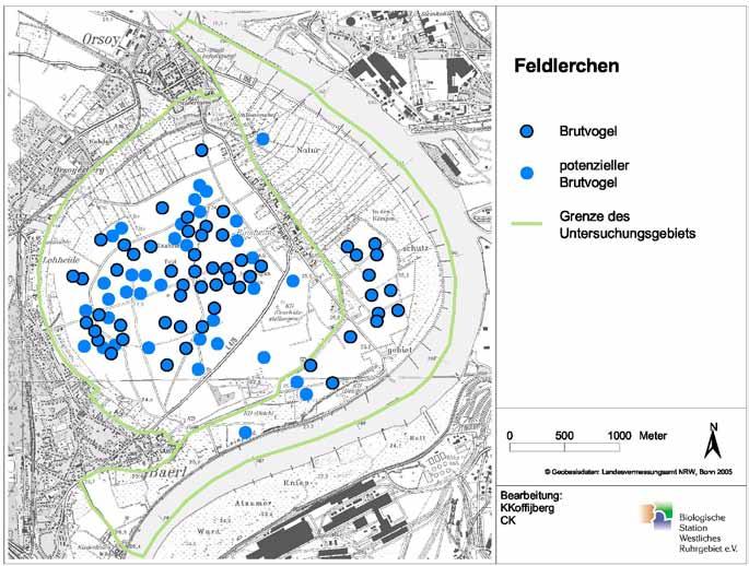 früheren Jahren festgestellt wurde, dass Feldlerchen im Binsheimer Feld in außergewöhnlich hoher Dichte brüten; eine konkrete Anzahl war aber bislang nicht ermittelt worden.