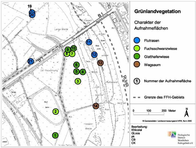 Projekte in Mülheim an der Ruhr FFH-Gebiet Ruhraue in Mülheim Flora und Vegetation Grünland Flächenmäßig nimmt das Grünland in der Mülheimer Ruhraue vor den Auwaldbereichen und den Altwässern den