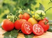 Sowohl beim Saatgut wie auch bei den Jungpflanzen treffen Sie in Ihrem Dehner Markt eine große Sortenvielfalt an.