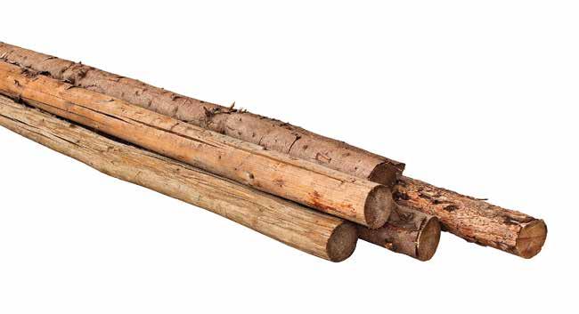 Die Kieferdielen von Osmo stammen aus skandinavischen und mitteleuropäischen Regionen, wo das Holz langsam wächst und so eine dichte und stabile Struktur erhält.