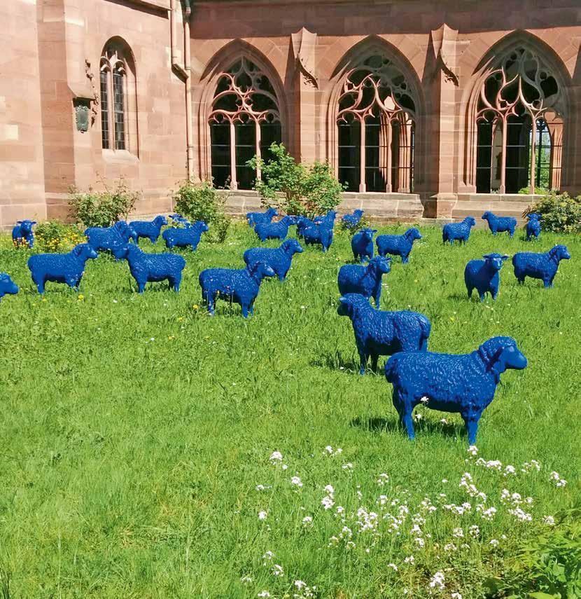 BLAUSCHAFE EINE KULTIGE RASSE Dritter Akt «Artissage» Vielen ist die blaue Herde bekannt, die seit knapp sieben Jahren von Ort zu Ort durch ganz Europa zieht.