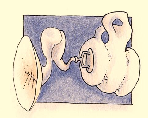 9 Das Trommelfell Das Trommelfell ist ein elastisches perlmuttgrau glänzendes und straff gespanntes, mit zartesten Äderchen durchzogenes Häutchen.